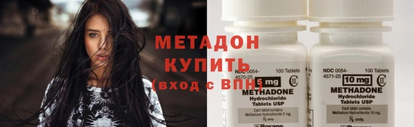 прущие грибы Лабытнанги