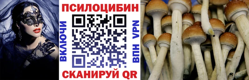 хочу   Тбилисская  Псилоцибиновые грибы мицелий 
