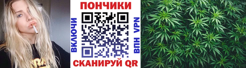 Марихуана ГИДРОПОН купить наркоту Тбилисская